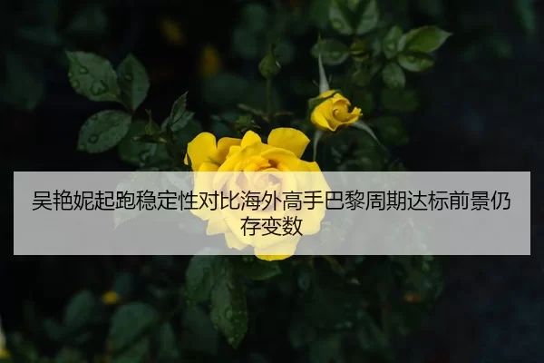 吴艳妮起跑稳定性对比海外高手巴黎周期达标前景仍存变数