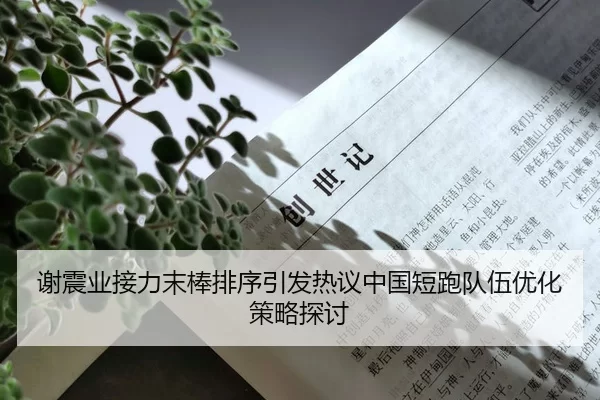 谢震业接力末棒排序引发热议中国短跑队伍优化策略探讨