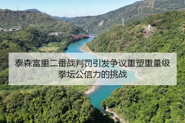 泰森富里二番战判罚引发争议重塑重量级拳坛公信力的挑战