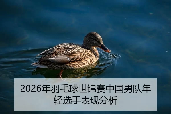2026年羽毛球世锦赛中国男队年轻选手表现分析