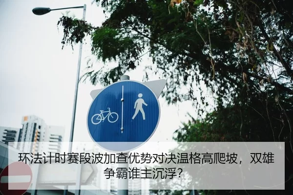 环法计时赛段波加查优势对决温格高爬坡，双雄争霸谁主沉浮？