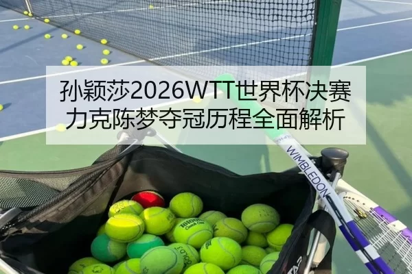 孙颖莎2026WTT世界杯决赛力克陈梦夺冠历程全面解析