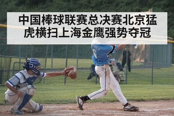 baseball batter hitting